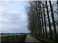 The roadway to Fairfield Farm