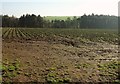 Field by the Atlantic Highway