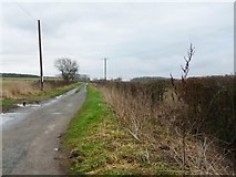 SE4950 : Healaugh Lane by Christine Johnstone