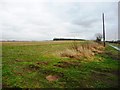 Farmland bordered by Healaugh Lane and the B1224