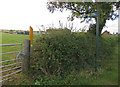 Footpath towards the Fosse Way