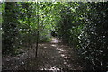 Tandridge Border Path