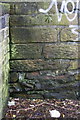 Benchmark on wall beside steps up to Delph Lane