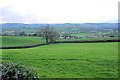 Fields Above Musbury