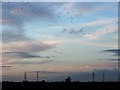 SE8207 : Birds over Rushcarr at sundown by Neil Theasby