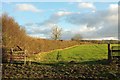 SP1821 : Field and boundary near Wyck Rissington by Derek Harper