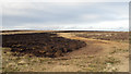 NY8656 : Burnt heather at Black Hill by Trevor Littlewood