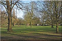 TL4856 : Cherry Hinton Hall Park: winter sunlight by John Sutton