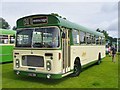 Alton - Bus Rally 2016