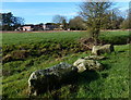 Stones near the River Soar