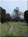 All Saints, Warlingham: churchyard (III)