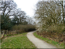 TQ4794 : Path towards car park, Hainault Forest by Robin Webster