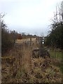 Path to Kirby Hall