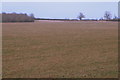 Path across the field to Bradden