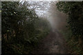 Wessex Ridgeway North of Chilfrome