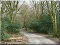 Track, Hainault Forest