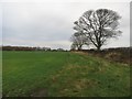 Arable field north of West Field farm