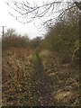 Muddy footpath to Seaton Delaval