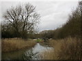 The Grantham Canal and Cotgrave Lock