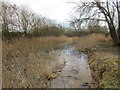 The Grantham Canal above Cotgrave Lock