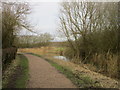 The Grantham Canal in Cotgrave Country Park