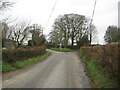 Three Sycamores Cross in Winter