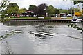 The River Thames near Bray Marina