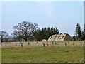 Hay bales and planted trees