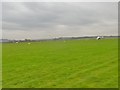 Old Sarum Airfield