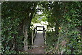 Footbridge, Tandridge Border Path