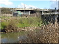 Looking across the River Roding to Roding Valley Park and the M11