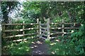 Path on Pendinas