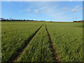 Tracks off the Chiltern Way