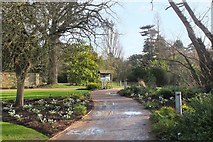 TL4557 : Cambridge University Botanic Garden by Jim Barton
