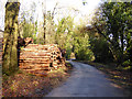 Timber stacks by Upper Toothill Road