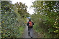 Walking National Cycle Route 2