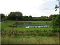 Pond above Mill Cottage