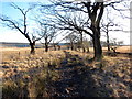 Llwybr Ceffyl Blaendulais / Seven Sisters Bridleway