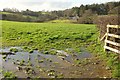 Field near Warkleigh