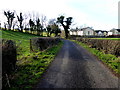 Mullaghmenagh Park Road, Mullaghmenagh Upper