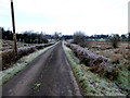 Frosty along Dernalear Road