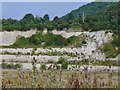 Chinnor - Disused Chalk Pit