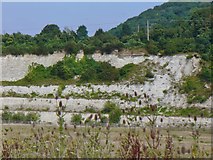 SP7500 : Chinnor - Disused Chalk Pit by Colin Smith