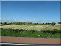 Harvested farmland on the northside of the A28 in Tullyhappy TD