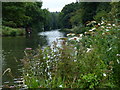 Grand Union Canal at Croxley Green