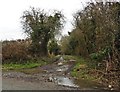 Track near Burton Mead Farm