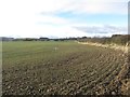 Arable land near West House Farm