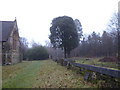 St Stephen, Hammerwood: churchyard (d)