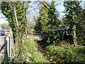 River Wandle backwater