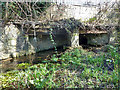 Culvert on River Wandle backwater